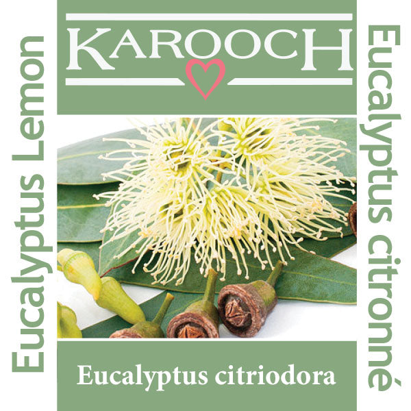 Eucalyptus Citriodora Australia