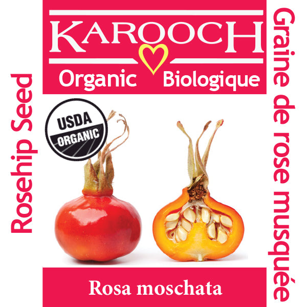 rosa moschata seed oil Rosehip Seed Oil Organic