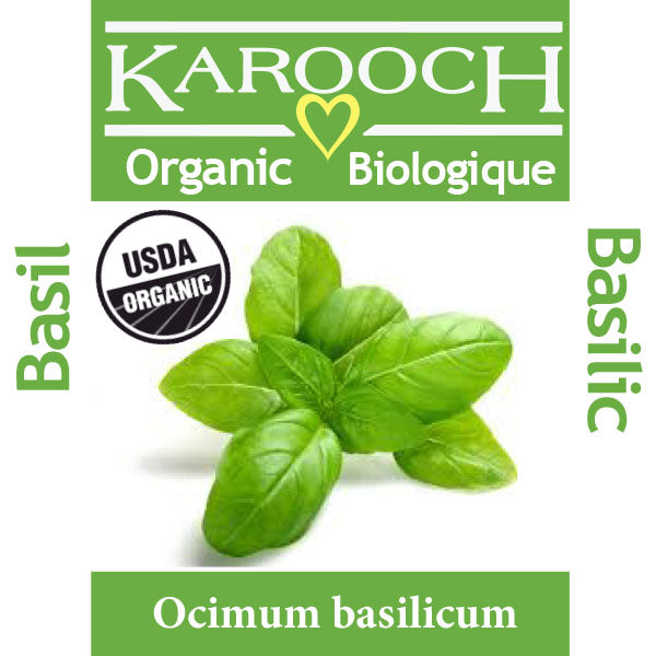 Basil Sweet Organic