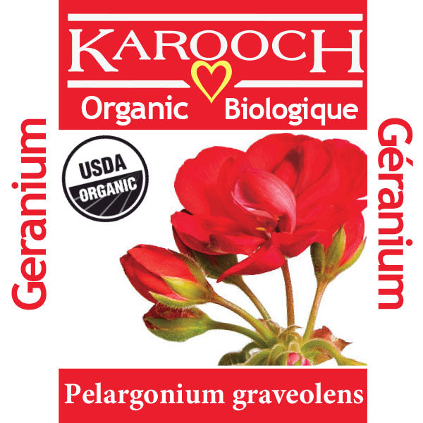Geranium Organic Egypt