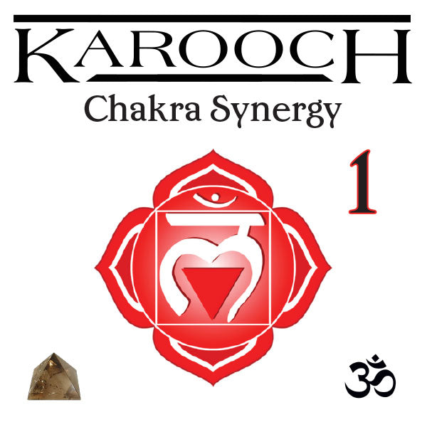 Chakra Synergy Number 1