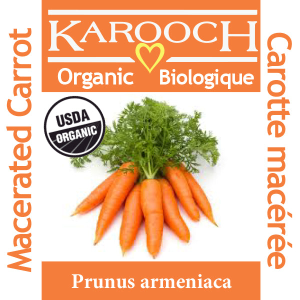 Carrot Oil (Macerated) Organic