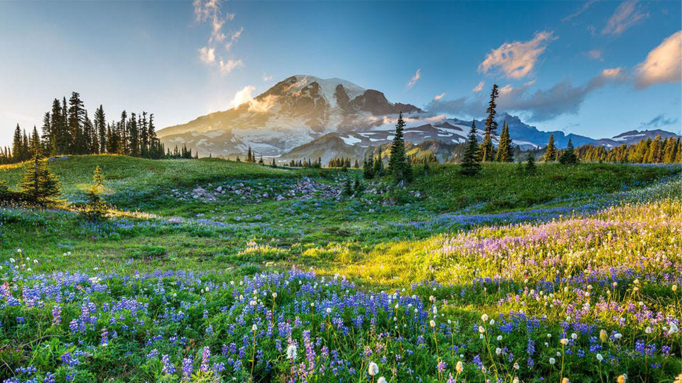 English Wildflower Remedies