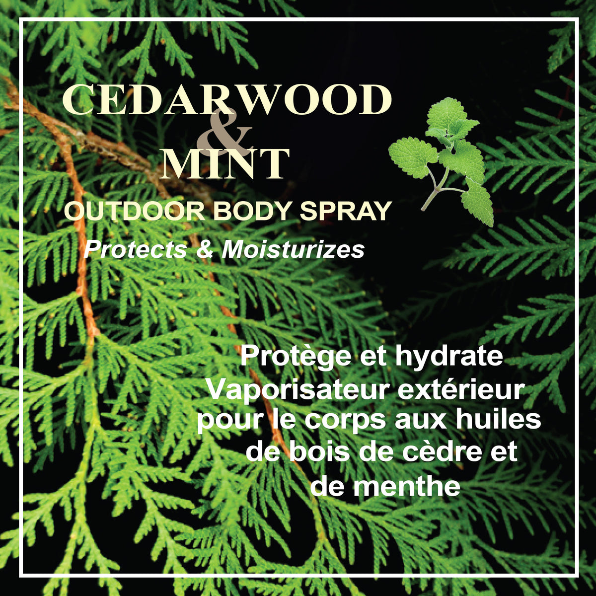 Spray Corporel Cèdre &amp; Menthe 150ml