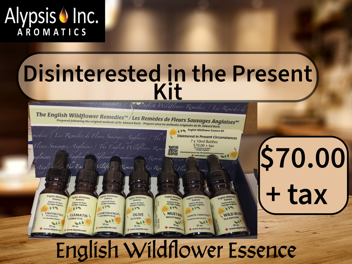 Disinterest in the Present Kit 7 x 10ml