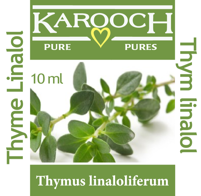 Thyme Linalol