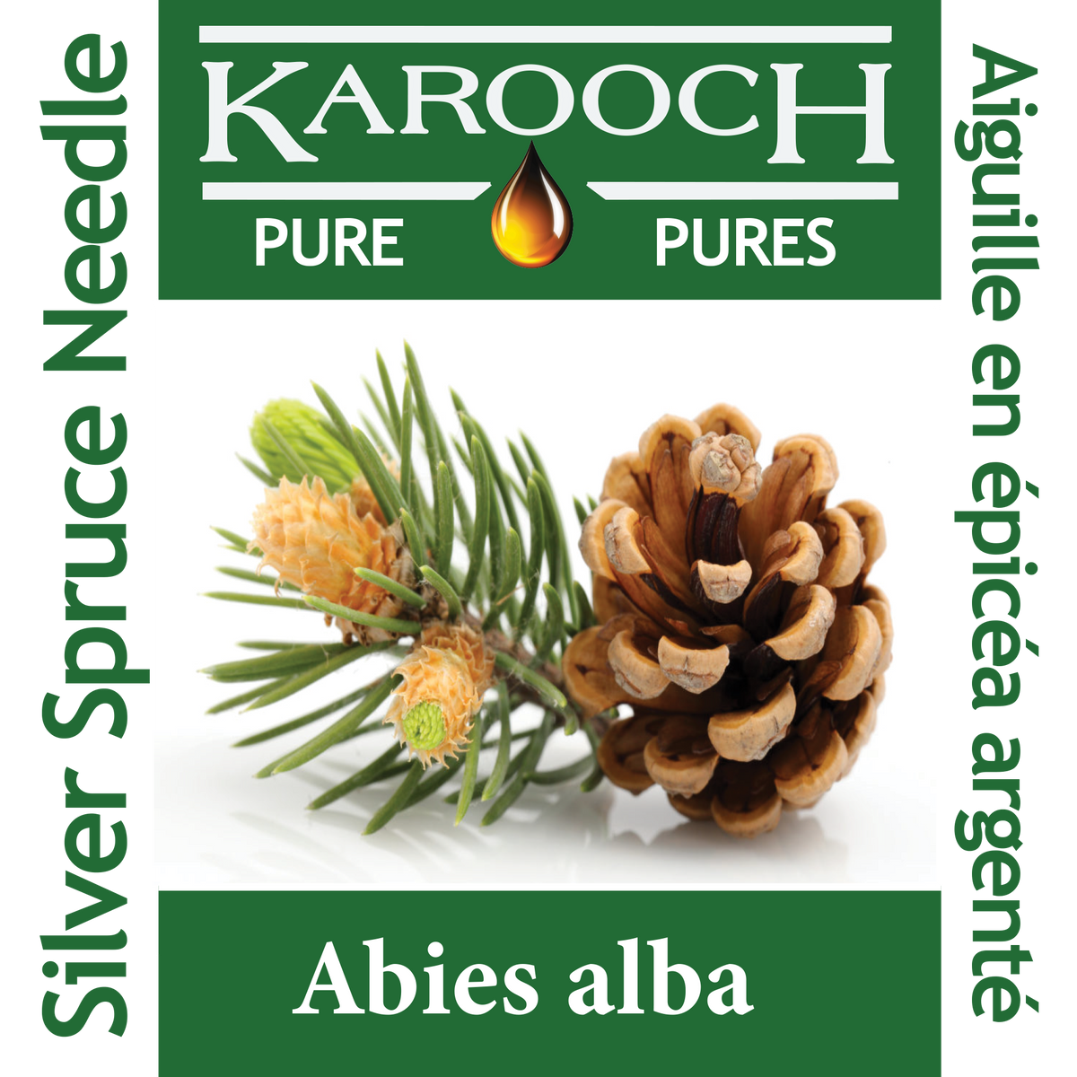 Silver Spruce Needle