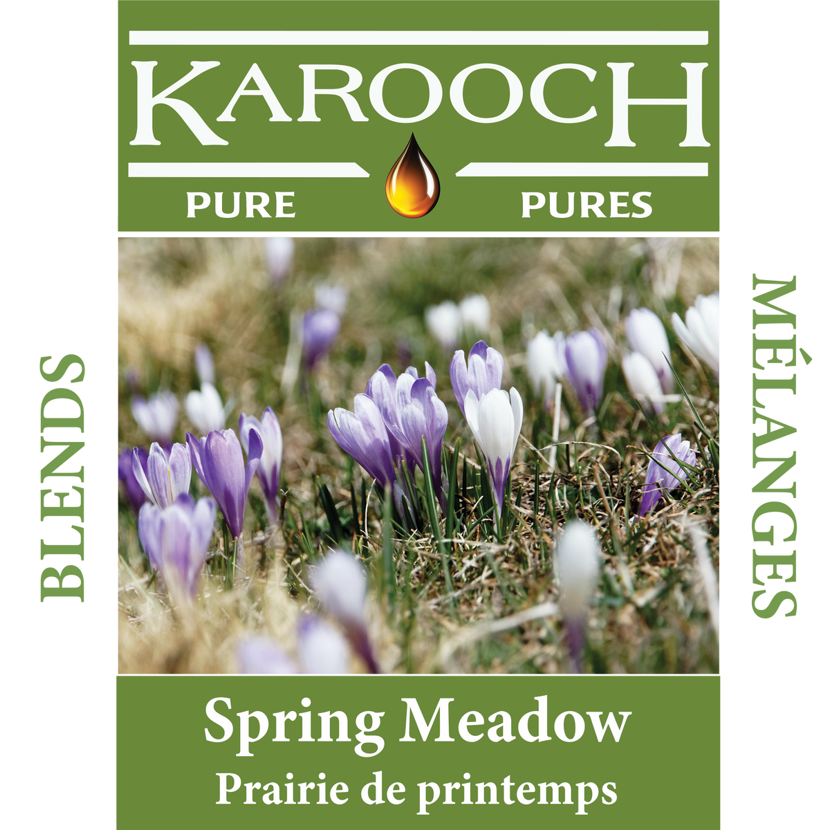 Spring Meadow