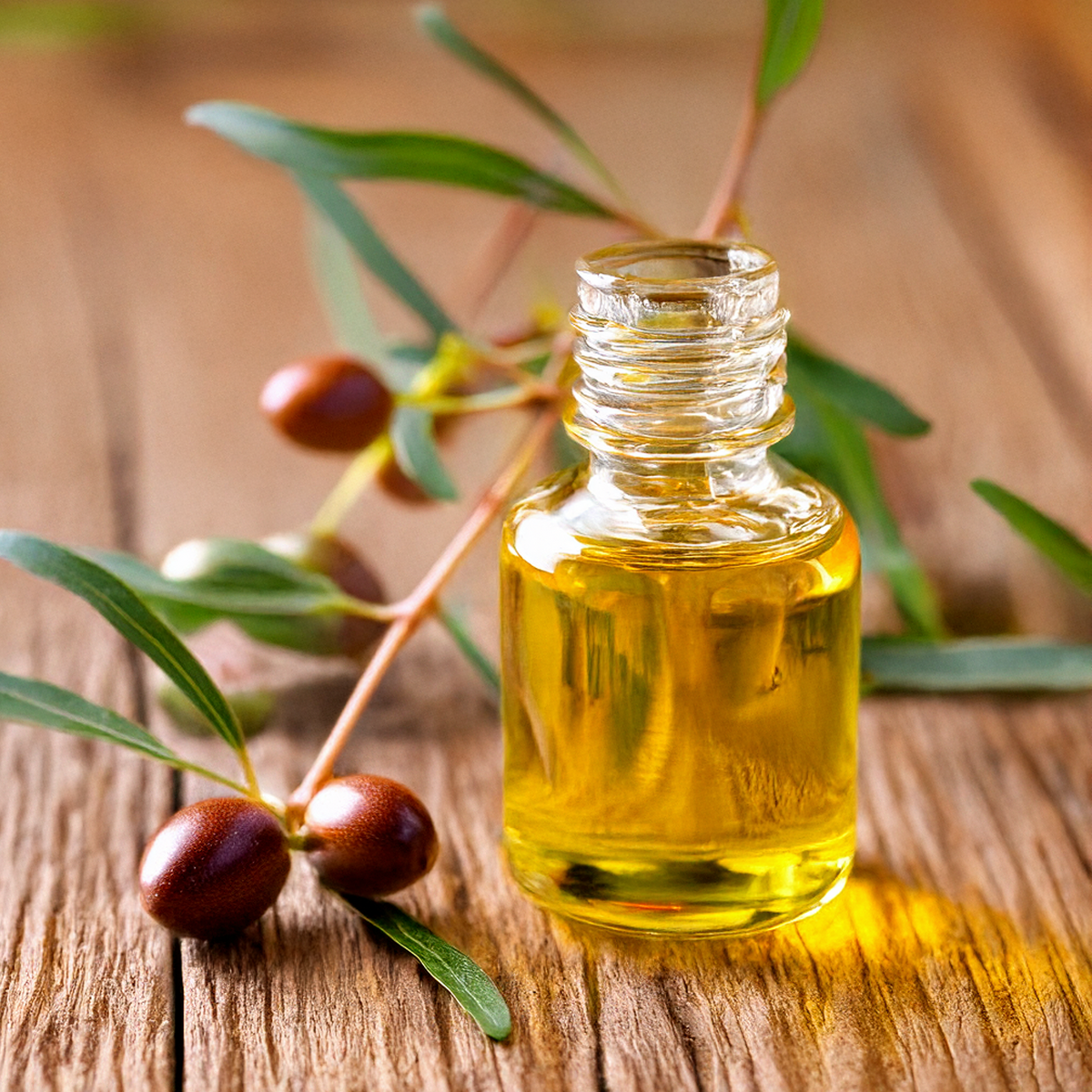 Golden Jojoba Oil Organic