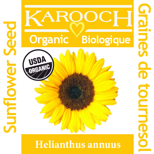 Sunflower Seed Oil Organic