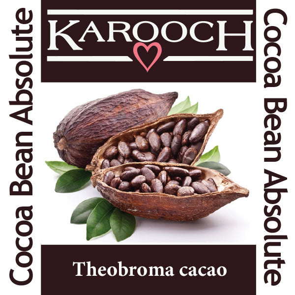 Absolu de fève de cacao