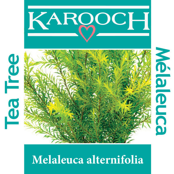 Tea Tree (Australian)