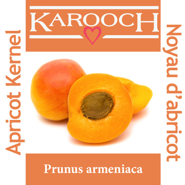 Noyau d&#39;abricot