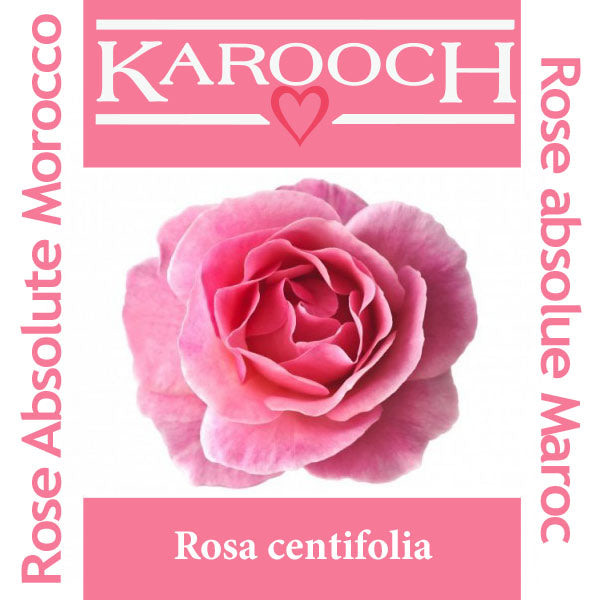Rose Absolute Moroccan