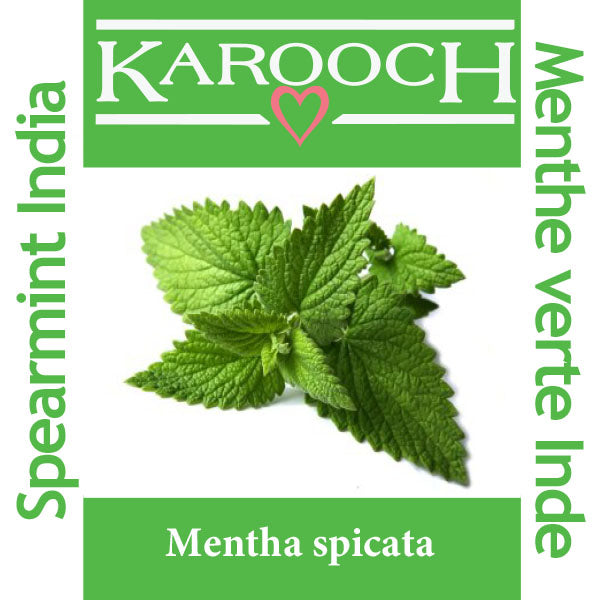 Spearmint India