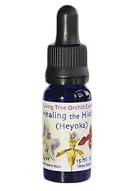 Healing The Hidden Heyoka