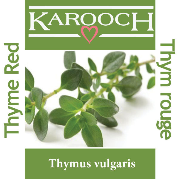 Thyme Red