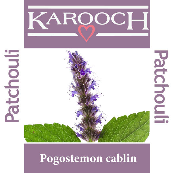 Patchouli Dark