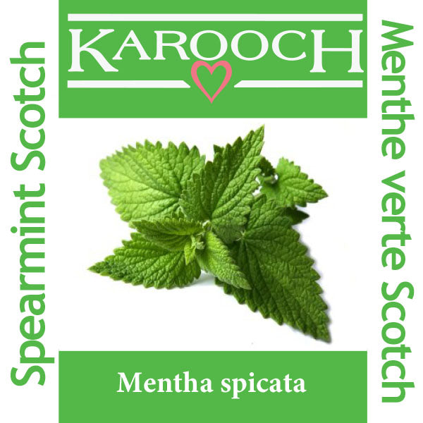 Spearmint Scotch