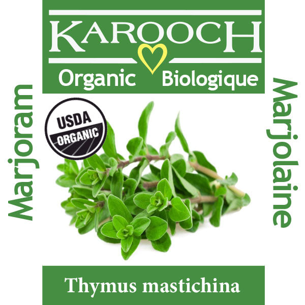 Marjoram Organic