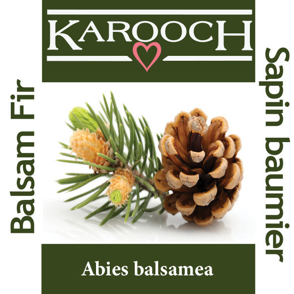 Fir Balsam Canada