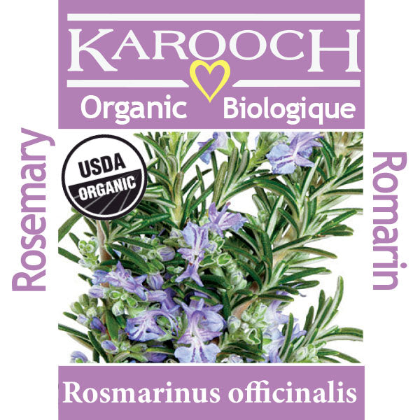 Rosemary Verbenone Organic