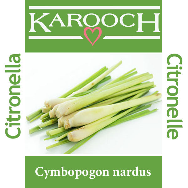 Citronella