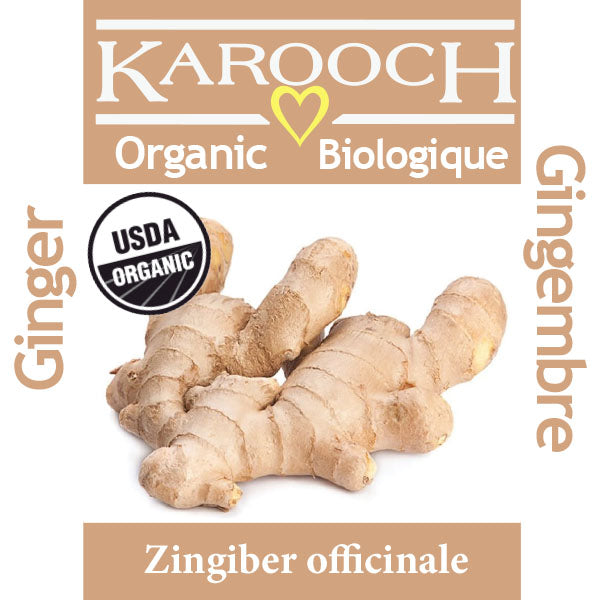 Gingembre biologique