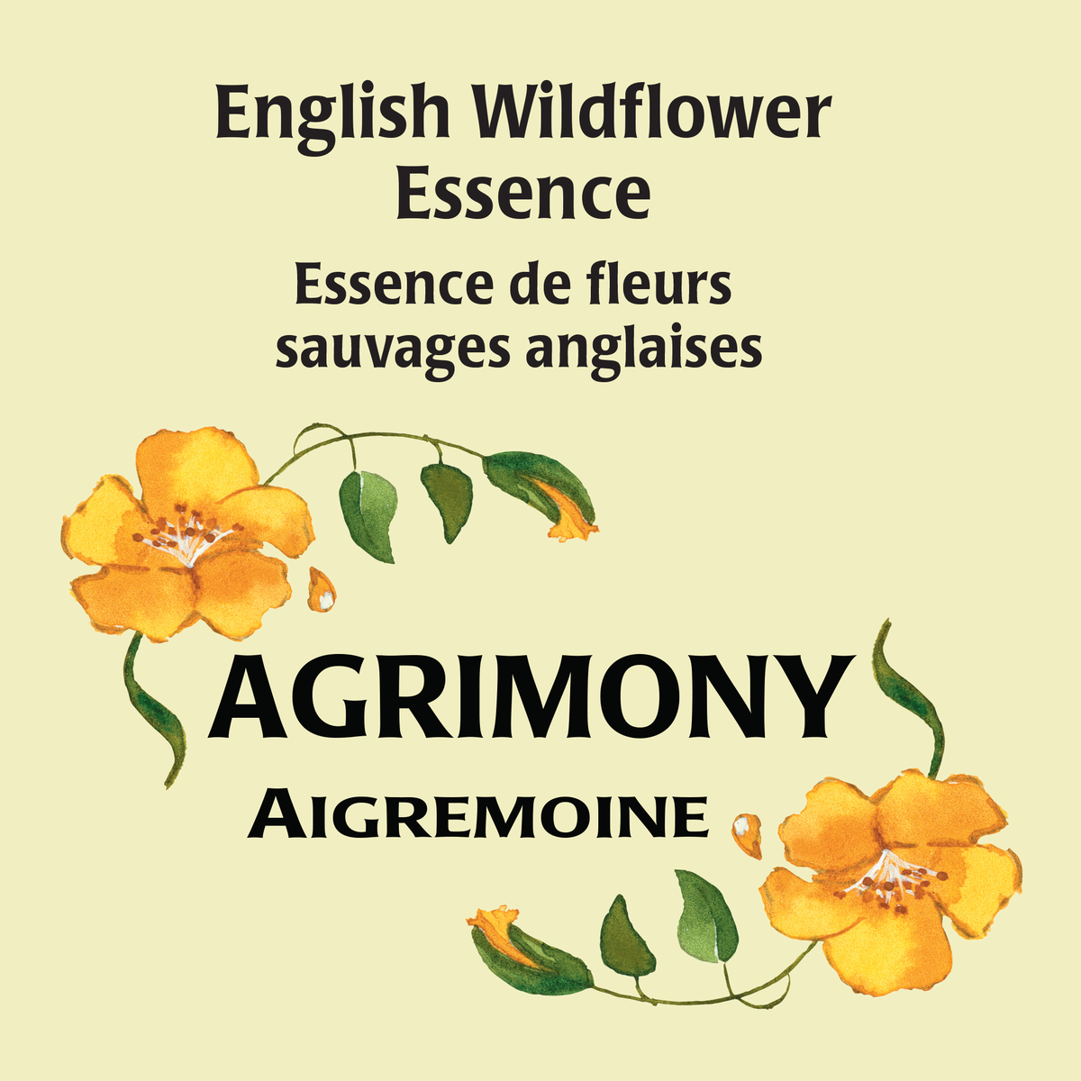 Agrimony