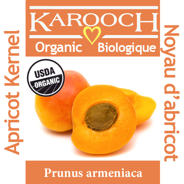 Noyau d&#39;abricot biologique