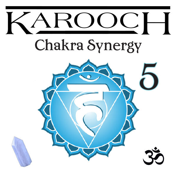Chakra Synergy Number 5