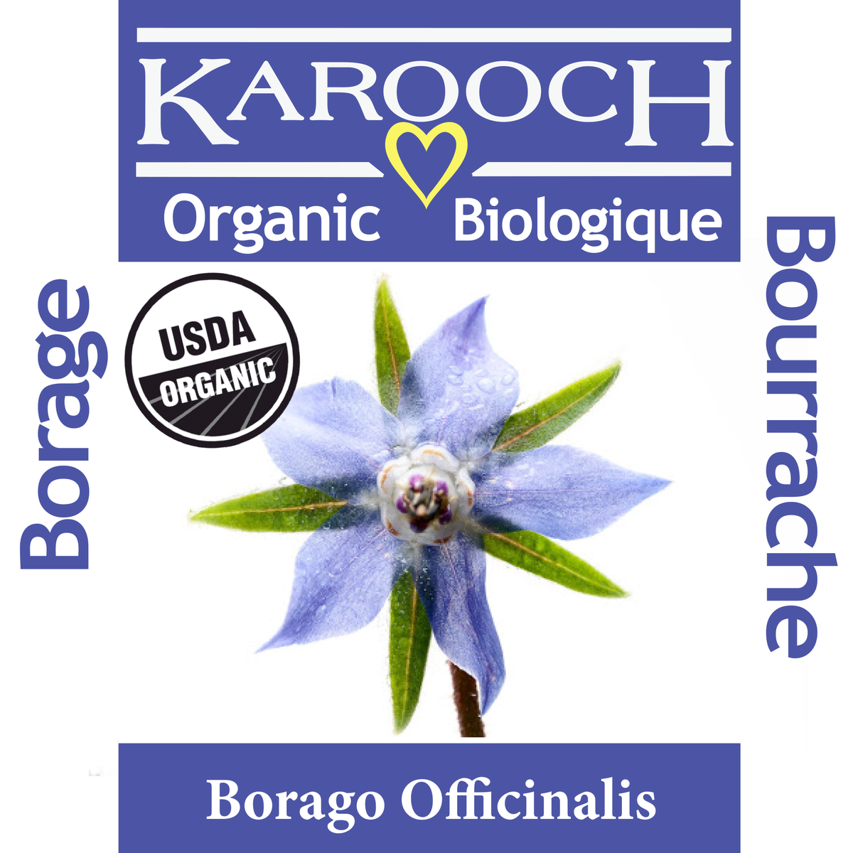 Borage Organic Oil