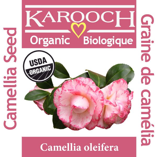 Camelia Seed Organic