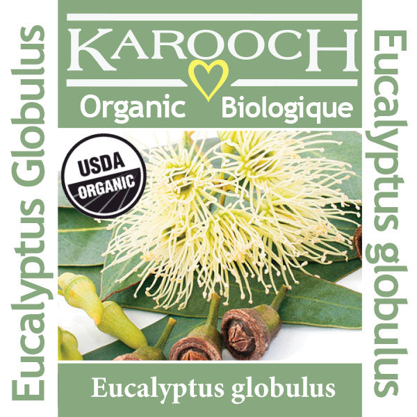 Eucalyptus Globulus Organic