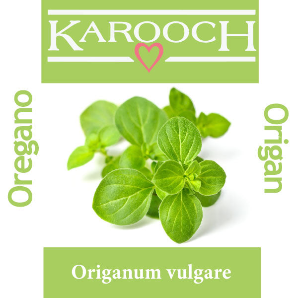 Oregano