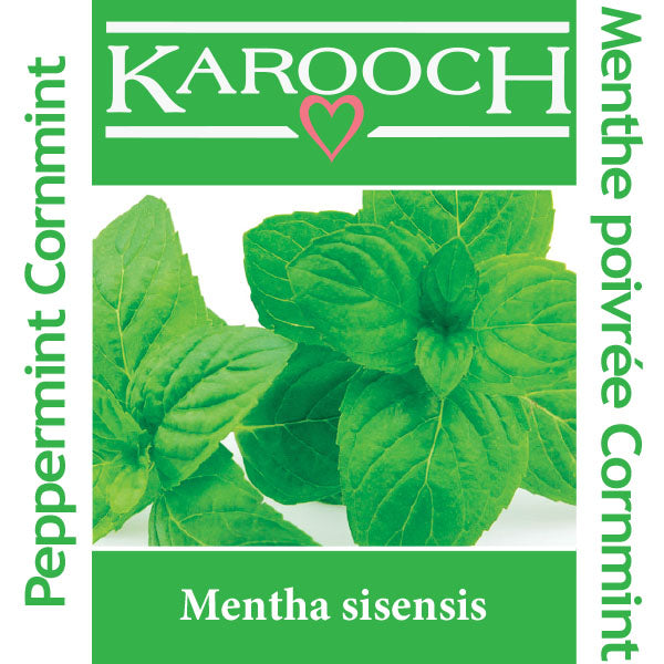 Peppermint (Cornmint)
