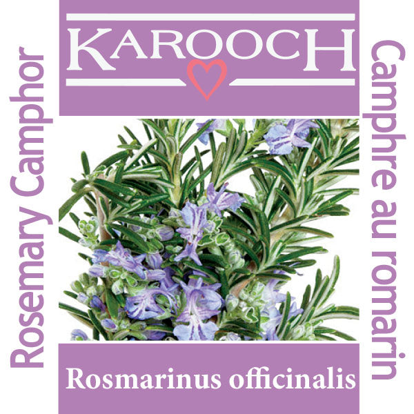 Rosemary, Camphor