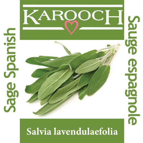 Sage Spanish
