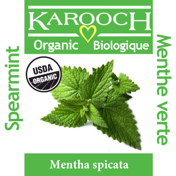 Spearmint Organic