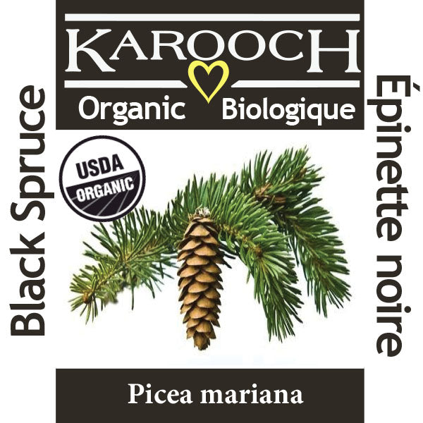 Épinette noire biologique