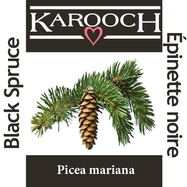 Spruce Black