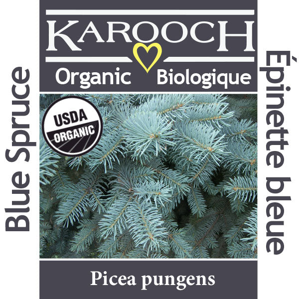 Blue Spruce Organic