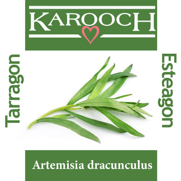 Tarragon