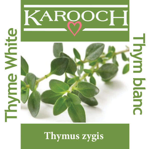 Thyme White