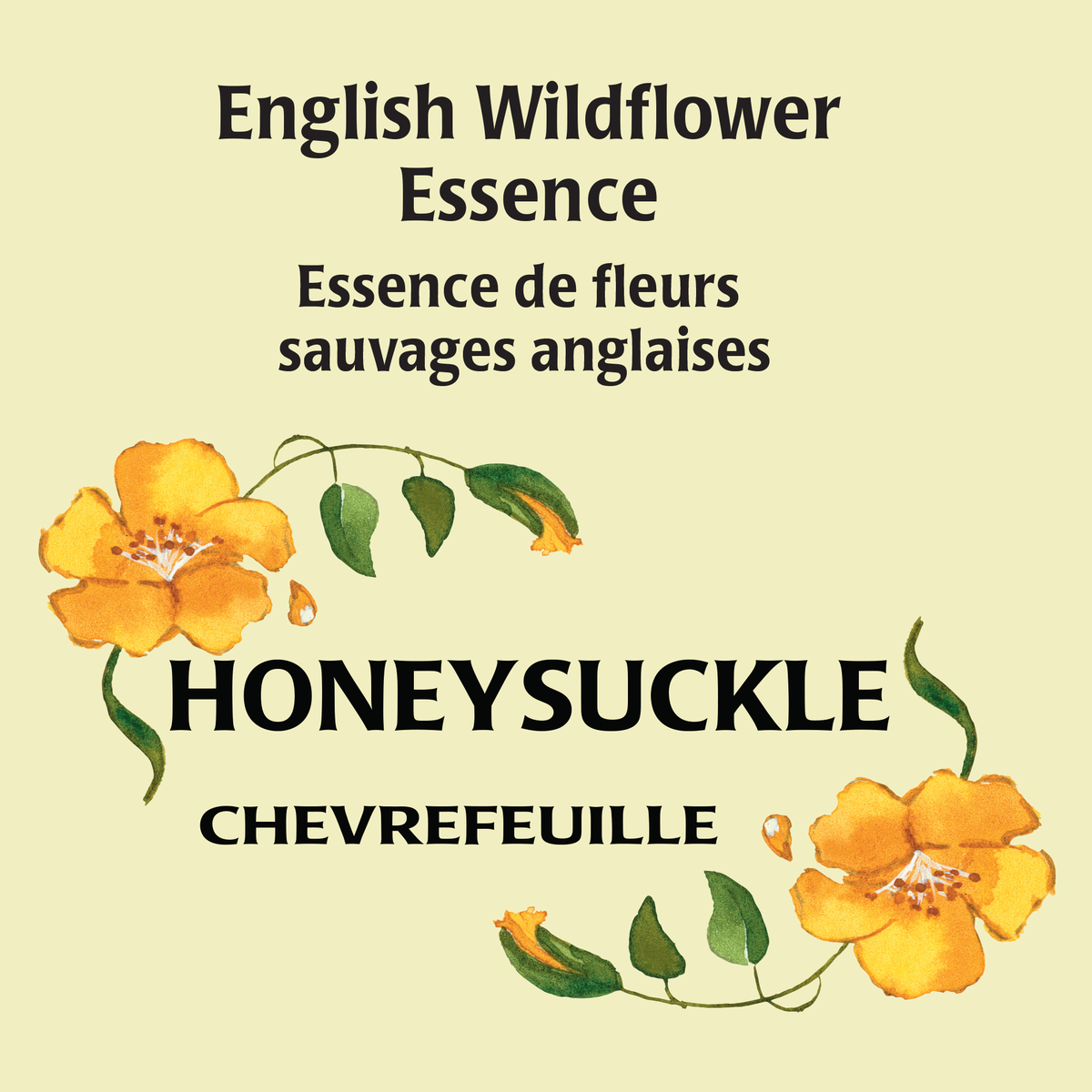 Honeysuckle