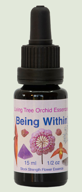 Being Within