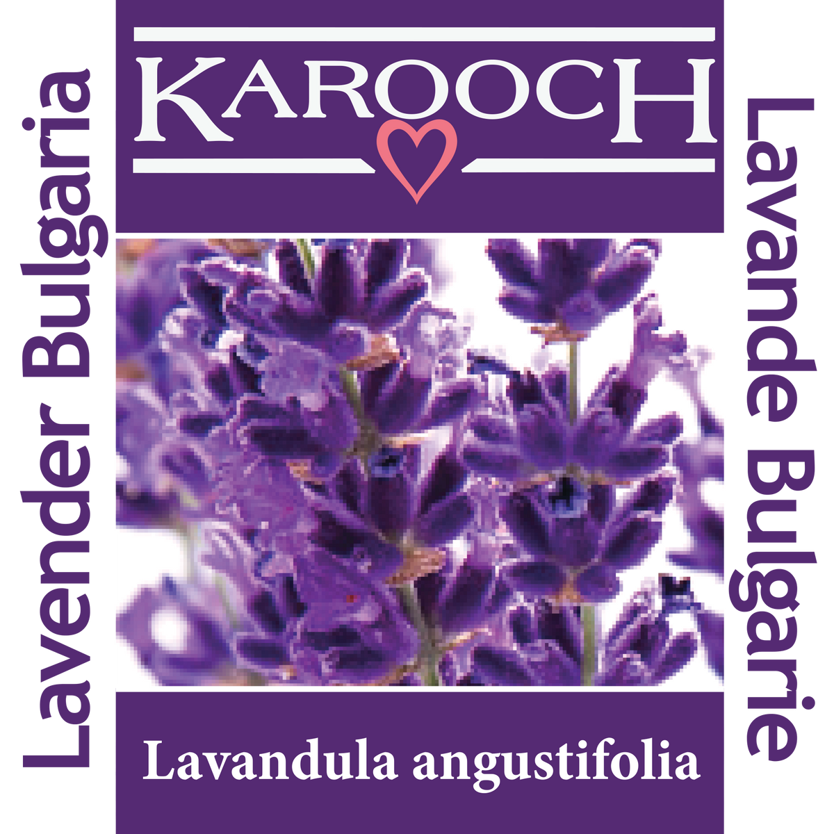 Lavender Bulgaria