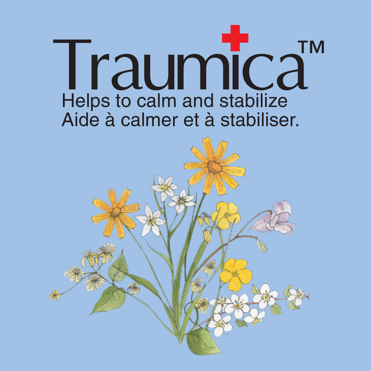 Traumica