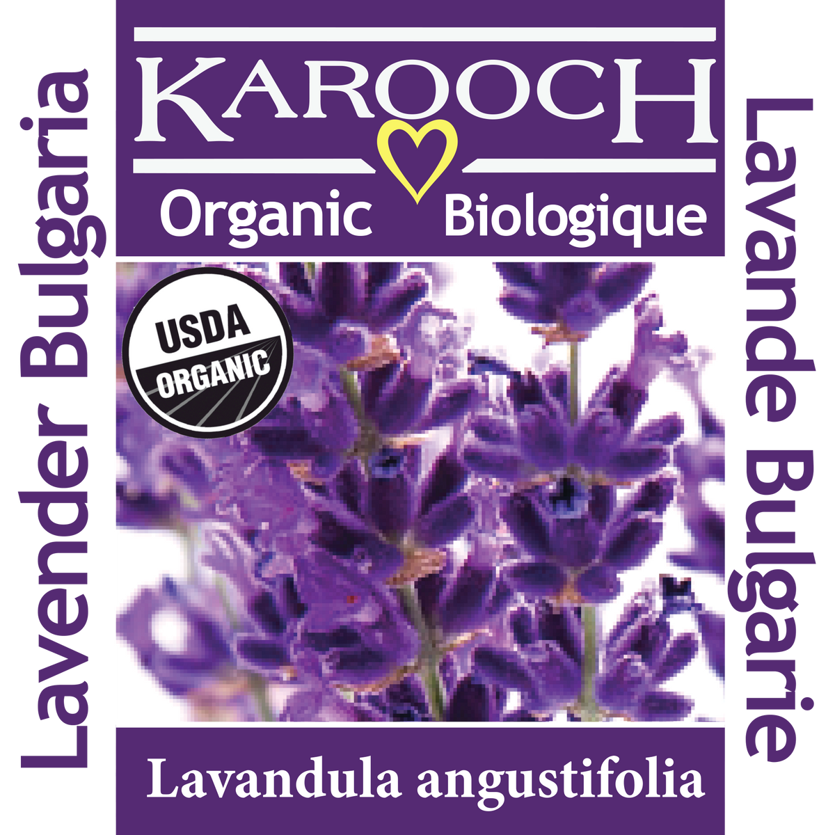 Lavender Organic