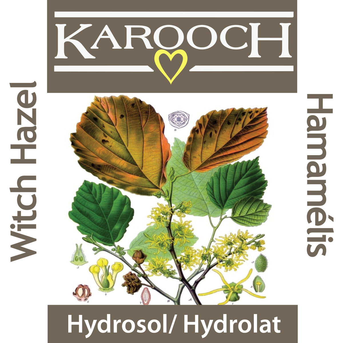 Witch Hazel Hydrosol